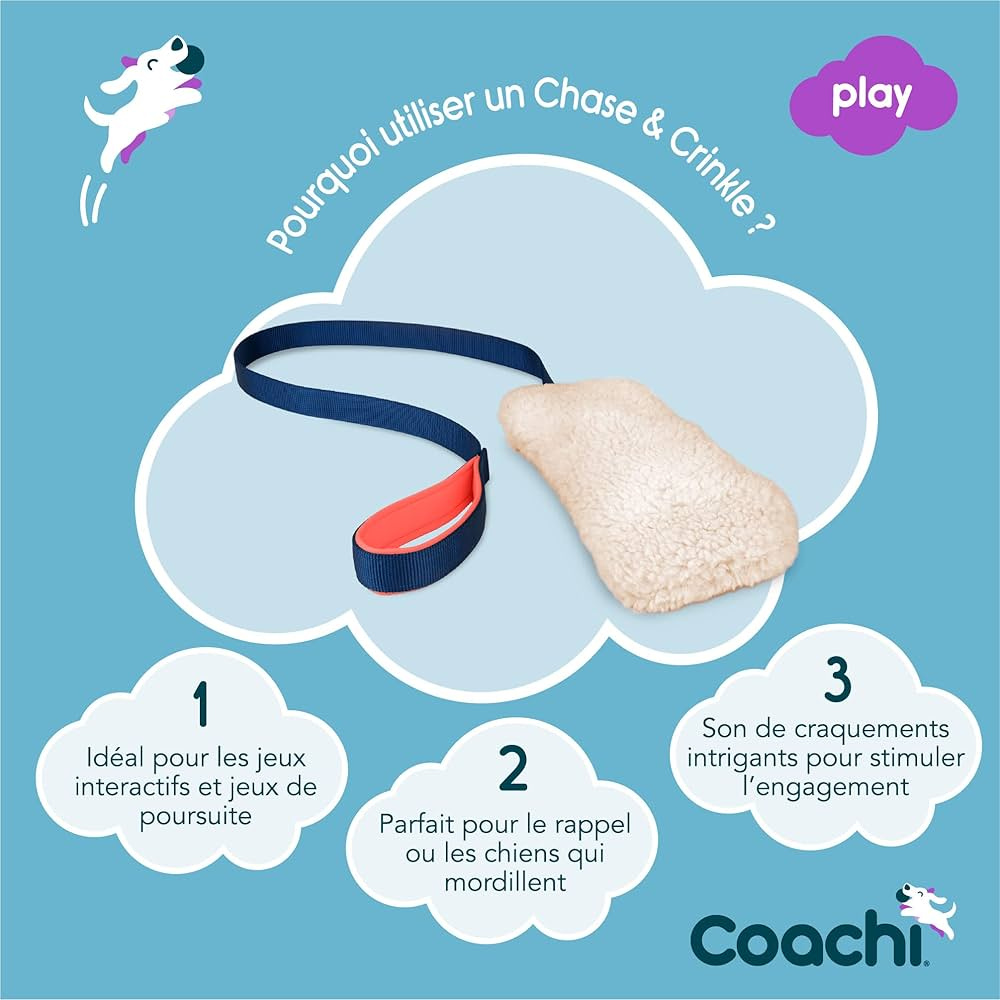 Jouet à tirer (Coachi Tuggi Chase and Crinckle) – Image 4