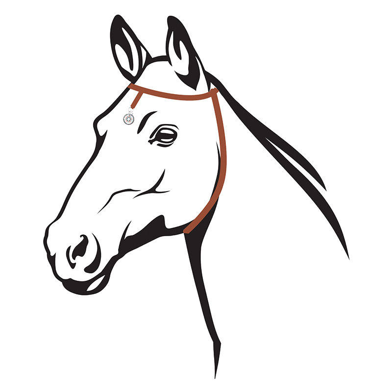 tic-clip cheval – Image 4